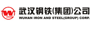 武漢鋼鐵（集團）公司